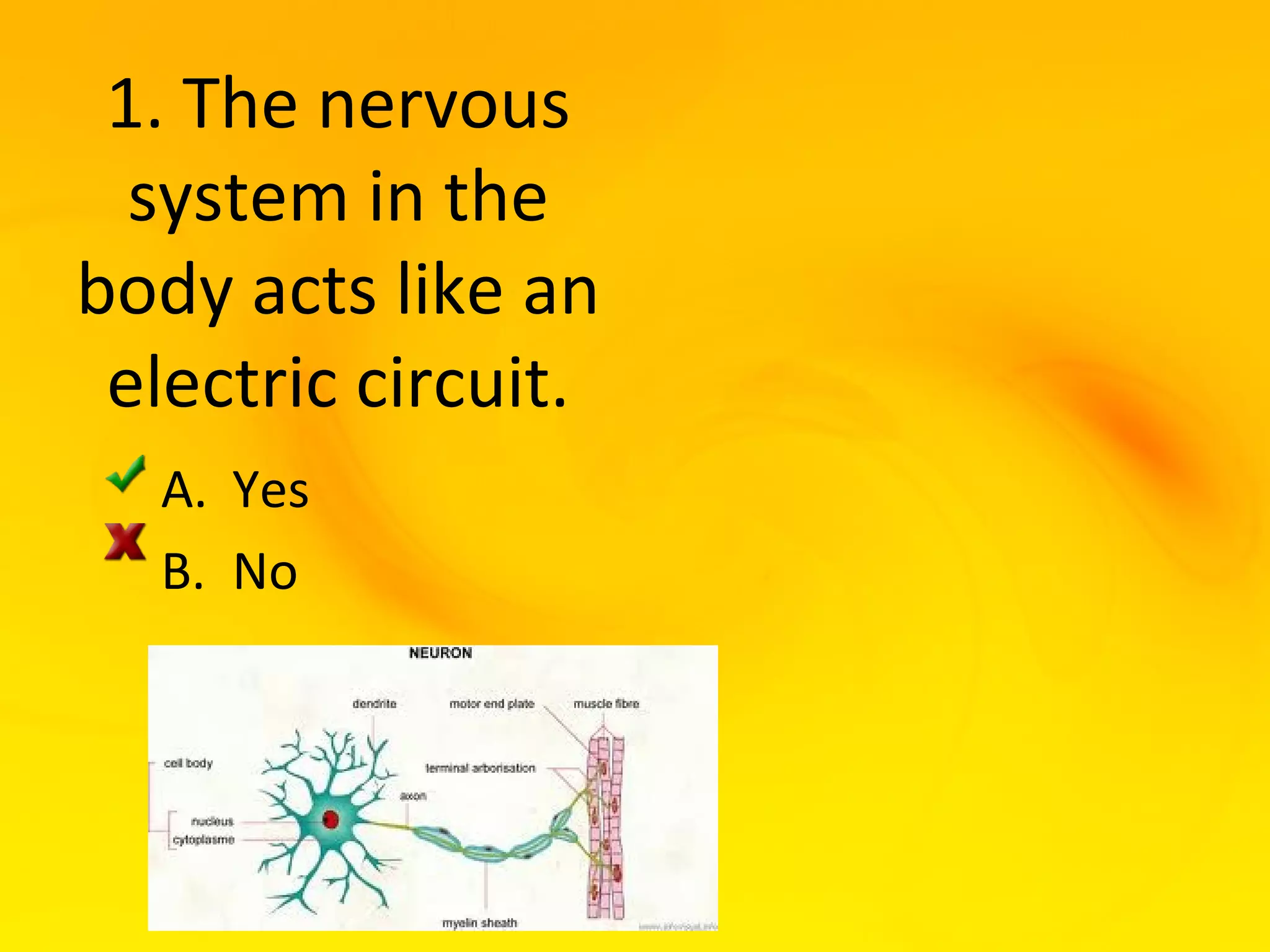 1. The nervous
  system in the
body acts like an
 electric circuit.
  A. Yes
  B. No
 