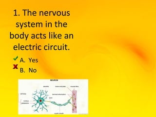 1. The nervous
  system in the
body acts like an
 electric circuit.
  A. Yes
  B. No
 