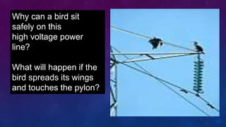 Why can a bird sit
safely on this
high voltage power
line?
What will happen if the
bird spreads its wings
and touches the pylon?
 