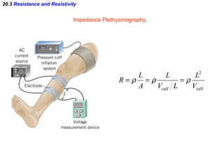 20.3  Resistance and Resistivity Impedance Plethysmography . 