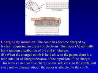 Charging by induction: The comb has become charged by
friction, acquiring an excess of electrons. The paper (A) normally
has a random distribution of (+) and (-) charges.
(B) When the charged comb is held close to the paper, there is a
reorientation of charges because of the repulsion of the charges.
This leaves a net positive charge on the side close to the comb, and
since unlike charges attract, the paper is attracted to the comb.
 