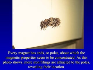 Every magnet has ends, or poles, about which the
 magnetic properties seem to be concentrated. As this
photo shows, more iron filings are attracted to the poles,
              revealing their location.
 