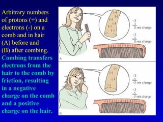 Arbitrary numbers
of protons (+) and
electrons (-) on a
comb and in hair
(A) before and
(B) after combing.
Combing transfers
electrons from the
hair to the comb by
friction, resulting
in a negative
charge on the comb
and a positive
charge on the hair.
 