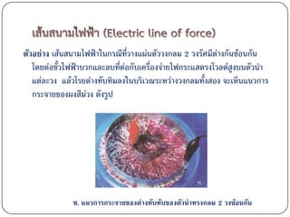 ตัวอย่าง เส้นสนามไฟฟ้าในกรณีที่วางแผ่นตัววงกลม 2 วงรัศมีต่างกันซ้อนกัน
   โดยต่อขั้วไฟฟ้าบวกและลบที่ต่อกับเครื่องจ่ายไฟกระแสตรงโวลต์สูงบนตัวน้า
   แต่ละวง แล้วโรยด่างทับทิมลงในบริเวณระหว่างวงกลมทั้งสอง จะเห็นแนวการ
   กระจายของผงสีม่วง ดังรูป




              ซ. แนวการกระจายของด่างทับทับของตัวนาทรงกลม 2 วงซ้อนกัน
 