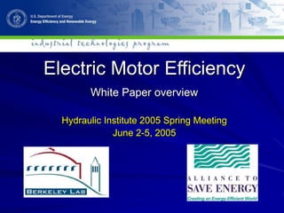 Electric Motor Efficiency
White Paper overview
Hydraulic Institute 2005 Spring Meeting
June 2-5, 2005
 