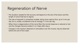 Regeneration of Nerve
◦ The duration needed for full recovery will depend on the site of the lesion and the
length of nerve that has to regrow.
◦ The rate of regrowth is somewhat variable, being more rapid at first, up to 5 mm per
day, but is usually considered to be an average 1–2 mm per day.
◦ When there is degeneration of the nerve fiber the normal response is reduced or lost
and the changes become evident 3 or 4 days after injury.
◦ Changes in the reaction obtained on stimulation over the muscle, may be observed
before the end of first week.
 