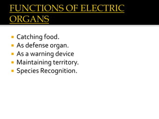  Catching food.
 As defense organ.
 As a warning device
 Maintaining territory.
 Species Recognition.
 
