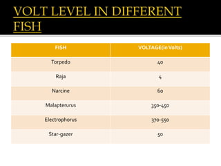 FISH VOLTAGE(inVolts)
Torpedo 40
Raja 4
Narcine 60
Malapterurus 350-450
Electrophorus 370-550
Star-gazer 50
 