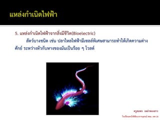 5. แหล่งกาเนิดไฟฟ้าจากสิ่งมีชีวิต(Bioelectric)
       สัตว์บางชนิด เช่น ปลาไหลไฟฟ้ามีเซลล์พิเศษสามารถทาให้เกิดความต่าง
ศักย์ ระหว่างหัวกับหางของมันเป็นร้อย ๆ โวลต์
 