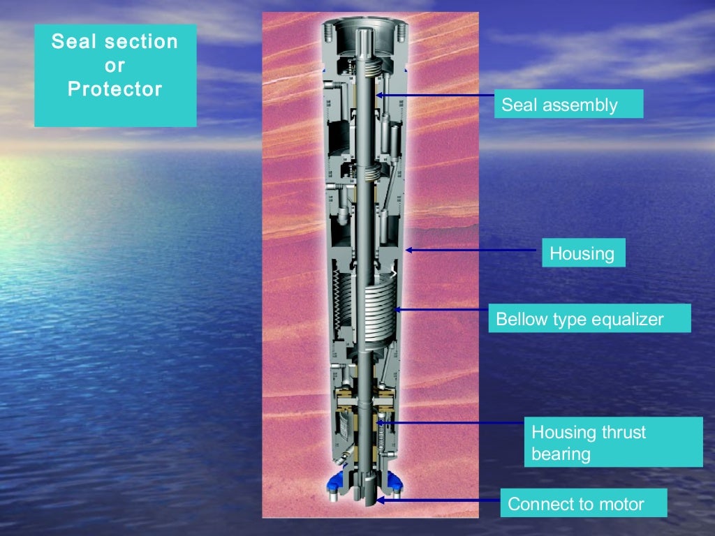 Electric submersible pump(esp)
