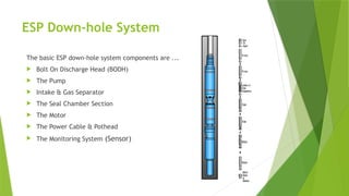 ESP Down-hole System
The basic ESP down-hole system components are ...
 Bolt On Discharge Head (BODH)
 The Pump
 Intake & Gas Separator
 The Seal Chamber Section
 The Motor
 The Power Cable & Pothead
 The Monitoring System (Sensor)
 