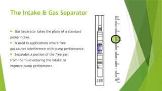The Intake & Gas Separator
 Gas Separator takes the place of a standard
pump intake.
 Is used in applications where free
gas causes interference with pump performance.
 Separates a portion of the free gas
from the fluid entering the intake to
improve pump performance.
 