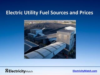 Electric Utility Fuel Sources and Prices
ElectricityMatch.com
 