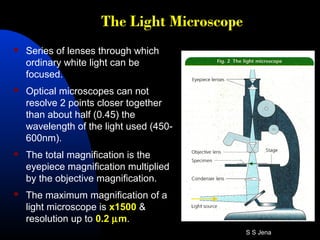 The Light Microscope
 Series of lenses through which
ordinary white light can be
focused.
 Optical microscopes can not
resolve 2 points closer together
than about half (0.45) the
wavelength of the light used (450-
600nm).
 The total magnification is the
eyepiece magnification multiplied
by the objective magnification.
 The maximum magnification of a
light microscope is x1500 &
resolution up to 0.2 µm.
S S Jena
 