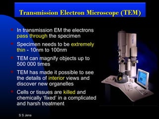  In transmission EM the electrons
pass through the specimen
 Specimen needs to be extremely
thin - 10nm to 100nm
 TEM can magnify objects up to
500 000 times
 TEM has made it possible to see
the details of interior views and
discover new organelles
 Cells or tissues are killed and
chemically ‘fixed’ in a complicated
and harsh treatment
Transmission Electron Microscope (TEM)Transmission Electron Microscope (TEM)
S S Jena
 