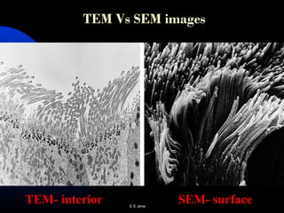 TEM Vs SEM images
TEM- interior SEM- surfaceS S Jena
 