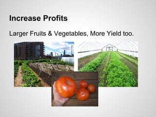 Increase Profits
Larger Fruits & Vegetables, More Yield too.
 