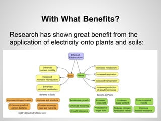 With What Benefits?
Research has shown great benefit from the
application of electricity onto plants and soils:
 