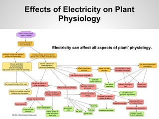 Effects of Electricity on Plant
Physiology
Electricity can affect all aspects of plant' physiology.
 