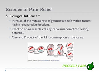 Science of Pain Relief
5. Biological Influence *
     Increase of the mitosis rate of germinative cells within tissues
      having regenerative functions.
     Effect on non-excitable cells by depolarization of the resting
      potential.
     One end Product of the ATP consumption is adenosine.
 