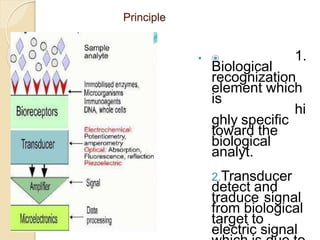 Principle
 ⦿ 1.
Biological
recognization
element which
is
hi
ghly specific
toward the
biological
analyt.
2.Transducer
detect and
traduce signal
from biological
target to
electric signal
 