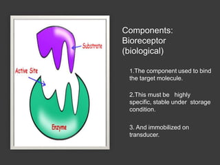 Components:
Bioreceptor
(biological)
1.The component used to bind
the target molecule.
2.This must be highly
specific, stable under storage
condition.
3. And immobilized on
transducer.
 
