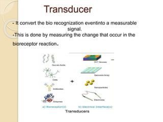 Transducer
- It convert the bio recognization eventinto a measurable
signal.
-This is done by measuring the change that occur in the
bioreceptor reaction.
 