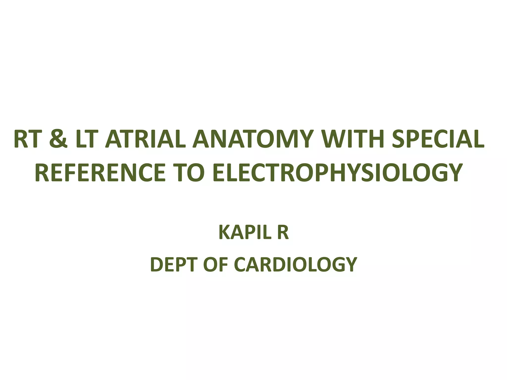 Electro anatomy.ppt