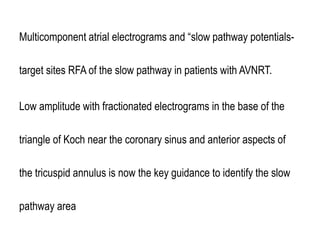 Electro anatomy.ppt