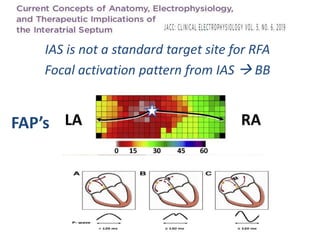 Electro anatomy.ppt