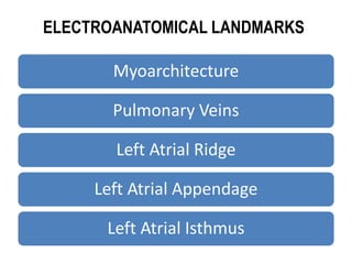 Electro anatomy.ppt