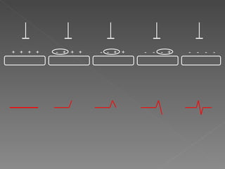 + + + +   - + + +   - - + +   -   -   - +   -   -   -   -
 