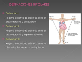    Derivación I:

    Registra la actividad eléctrica entre el
    brazo derecho y el izquierdo
   Derivación II:

    Registra la actividad eléctrica entre el
    brazo derecho y la pierna izquierda
   Derivación III:

    Registra la actividad eléctrica entre la
    pierna izquierda y el brazo izquierdo
 