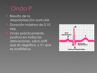    Resulta de la
    despolarización auricular.
   Duración máxima de 0,10
    seg.
   Onda prácticamente
    positiva en todas las
    derivaciones, salvo aVR
    que es negativa, y V1 que
    es isodifásica.
 