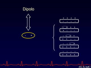 +  +  +  + -  -  -  - -  +  +  + -  -  +  + +  +  +  + -  -  -  - +  +  -  - -  -  -  - +  -  -  - +  +  +  - -  -  -  + -  + Dipolo 