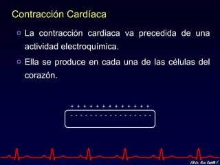 Contracción Cardíaca
  La contracción cardiaca va precedida de una
  actividad electroquímica.
  Ella se produce en cada una de las células del
  corazón.


              + + + + + + + + + + + + +
              - - - - - - - - - - - - - - - - -
 