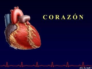 CORAZÓN
 