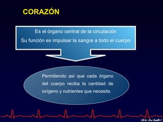 CORAZÓN

      Es el órgano central de la circulación
Su función es impulsar la sangre a todo el cuerpo




         Permitiendo así que cada órgano
         del cuerpo reciba la cantidad de
         oxígeno y nutrientes que necesita.
 
