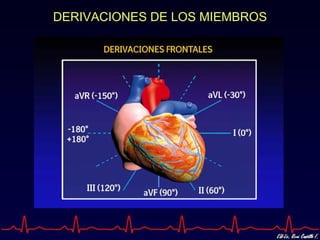 DERIVACIONES DE LOS MIEMBROS
 