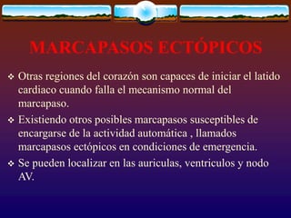 MARCAPASOS ECTÓPICOS
 Otras regiones del corazón son capaces de iniciar el latido
cardiaco cuando falla el mecanismo normal del
marcapaso.
 Existiendo otros posibles marcapasos susceptibles de
encargarse de la actividad automática , llamados
marcapasos ectópicos en condiciones de emergencia.
 Se pueden localizar en las auriculas, ventriculos y nodo
AV.
 