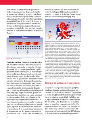 po­si­tiva está exactamente debajo del elec­         derecho; el vector 3, del ápex ventricular; el
tro­do. Inme­diata­mente después el dipolo           vector 4, de la pared libre del ventrículo iz­
se ha movido y la carga negativa está ahora          quier­do y el vector 6, de la base (pared lateral
debajo del electrodo ejerciendo su máxima­           alta) del ventrículo izquierdo (fig. 37).
influen­cia, por lo cual el trazo hace su máxima
ne­­ga­tividad (pico de la onda S), 2. Luego, a
me­di­da que el dipolo continúa su camino,
el tra­zo se hace menos negativo hasta que
cuan­do el músculo ha sido activado comple­
ta­mente, el trazo vuelve a la línea isoeléctrica
(fig. 36).




                                                     Figura 37. Teoría vectorial de despolarización ventricular. La de­
                                                     rivación V1 registra una deflección caracterizada por las letras “rS”
                                                     debido a que el primer vector de despola­ri­zación (despo­la­rización
                                                     septal) viaja de izquierda a derecha y como se dirige hacia el
                                                     electrodo de V1, inscribe una deflección positiva. El segundo vec­
                                                     tor de despola­riza­ción se genera prácticamente al mismo tiempo
                                                     que el primero y también se dirige hacia el electrodo de V1, por lo
                                                     cual aumen­ta la deflección positiva que se está ins­cri­bien­do. Como
                                                     ambos vectores son poco potentes dan origen a la pequeña onda
                                                     “r” inicial en V1. Posteriormente, se inscriben los vectores 3, 4 y
Figura 36. Teoría del Dipolo.                        5 de despola­rización ventricular que representan a la gran masa
                                                     ventricular izquierda. Como estos vectores se alejan del electrodo
                                                     de V1 se inscribe una gran onda “S” en dicha deri­­vación. La derivación
Teoría Vectorial de Despolarización Ventricu-        V6 registra una deflección caracterizada por las letras “qR” debido
lar: durante la secuencia de despolarización         a que el primer vector de despola­ri­zación se aleja del electrodo por
                                                     lo cual se inscribe una pequeña onda “q” (llamada q septal), que se
del músculo ventricular, el impulso eléctrico        complementa con la inscripción del segundo vector que también
desciende por la rama izquierda más rápido           se aleja. A partir de este momento se generan los vectores 3, 4
                                                     y 5 de la gran masa ventricular iz­quierda, que se dirigen hacia el
que por la rama derecha, por lo cual la super­       electrodo de V6 e inscriben una gran onda “R”. La onda S de las
                                                     derivaciones precordiales dere­chas y la onda R de las derivaciones
ficie septal izquierda es activada apro­xi­ma­da­    precordiales izquierdas repre­sen­tan la activación ventricular izqui­
mente 10 mseg. antes que la derecha. El re­          erda. De ambos lados del corazón la deflección mayor representa
                                                     la activación del ventrículo izquierdo.
sultado neto es que el septo interventricular es
activado inicialmente de izquierda a derecha.
A continuación, ambas paredes ventriculares          Tiempo de activación ventricular
son activadas simultáneamente pero debido
a que el ventrículo derecho es más delgado           Durante la inscripción del complejo QRS a
que el izquierdo, el impulso atraviesa la pared      nivel experimental mediante electrodos epi­
de­re­cha y llega al epicardio antes que los im­     cárdicos, la “deflección intrínseca” re­pre­senta
pulsos del lado izquierdo. La pared muscular         la caída abrupta desde la máxima po­si­tividad
izquier­da se despolariza inicial­mente en la        hacia la máxima negatividad. Debido a que
región apical y luego sucesivamente hacia la         el registro electrocardio­gráfico no se obtiene
base. La despolarización ventricular consta de       del epicardio sino de electro­dos colocados
5 vec­to­res, resultantes de la sumatoria vectori­   sobre la superficie corporal, esta deflec­ción
al por regiones de despola­rización. El vector 1     recibe el nombre de “de­flección intrinse­coi­
es la resultante de la sumatoria de los vectores     de o tiempo de activación ventricular”. El
de despolarización del septum interventricu­         tiempo de activación ventricular (TAV) mide
lar; el vector 2, de la pared libre del ventrículo   la duración del recorrido del impulso eléc­
24
 