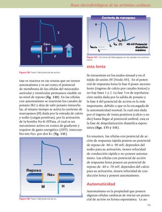 Bases electrofisiológicas de las arritmias cardíacas




                                          3


                         Ca++

                                              K+
                   D                F                        Figura 141. Corriente de Marcapasos en las células con automa­
                                                             tismo.


                                                             esta lenta
Figura 139. Fase 3 del potencial de acción.

Fase Cuatro o de reposo eléctrico: esta                      Se encuentran en los nodos sinusal y en el
fase es inactiva en las células que no tienen                tejido de unión AV (Nodo AV). En el po­ten­
auto­matismo y es así como el potencial                      cial de respuesta lenta la fase 0 posee ascenso
de membrana de las células del miocardio                     lento (ingreso de calcio por canales lentos) y
auricular y ventricular permanece estable en                 no hay fases 1 y 2. La fase 3 es de repolariza­
su nivel de reposo (fig. 140). En las células                ción tardía dada por la salida de potasio y
con auto­ma­tismo se inactivan los canales de                la fase 4 del potencial de acción es la más
potasio IK2 y deja de salir potasio intracelu­               impor­tante, debido a que es la encar­gada de
lar, al mismo tiempo se activa la corriente de               la automa­ti­cidad normal, la cual está dada
marcapasos (If) dada por la entrada de calcio                por el ingreso de iones positivos (calcio y so­
y sodio (cargas positivas), por la activación                dio) hasta llegar al potencial umbral, esta es
de la bomba Na-K-ATPasa, el cual es un
                                                             la fase de des­polarización diastólica espon­
meca­nis­mo activo en contra de gradiente y
                                                             tánea (figs. 135 y 141).
requiere de gasto energético (ATP), intercam­
bia tres Na+ por dos K+ (fig. 141).
                                                             En resumen, las células con potencial de ac­
                                                             ción de res­pues­ta rápida poseen un poten­cial
Potenciales de acción de respu­
                                                             de reposo de -80 a -90 mV; dependen del
                                                             sodio para su activación, tienen velo­ci­dad
                                                             de conducción rápida y no poseen au­toma­
                                                             tis­mo. Las células con potencial de acción
                                                             de res­pues­ta lenta poseen un po­ten­cial de
                                                             reposo de -40 a -70 mV, depen­den del calcio
                                                             para su acti­va­ción, tienen velocidad de con­
                                                             ducción lenta y poseen automatismo.

                                                             Automaticidad
                                                             Automatismo es la propiedad que poseen
                                                             algunas células cardíacas de iniciar un po­ten­
Figura 140. Fase 4 del potencial de ac­                      cial de acción en forma espon­tánea. La au­
                                                                                                                         75
 