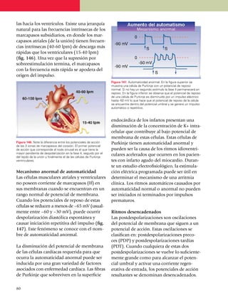 las hacia los ventrículos. Existe una jerarquía
natural para las frecuen­cias intrínsecas de los
mar­ca­pasos subsi­dia­rios, en donde los mar­
capasos atriales (de la unión) tienen frecuen­
cias intrínsecas (40-60 lpm) de descarga más
rápidas que los ven­triculares (15-40 lpm)
(fig. 146). Una vez que la supresión por
sobreestimulación termina, el marcapasos
con la frecuencia más rápida se apodera del
origen del impulso.
                                                                    Figura 147. Automaticidad anormal. En la figura superior se
                                                                    muestra una célula de Purkinje con un potencial de reposo
                                                                    normal. Si no hay un segundo estímulo la fase 4 permanecerá en
                                                                    reposo. En la figura inferior se observa que el potencial de reposo
                                                                    de una célula de Purkinje es disminuido por un impulso eléctrico
                                                                    hasta -50 mV lo que hace que el potencial de reposo de la célula
                                                                    se encuentre dentro del potencial umbral y se genera un impulso
                                                                    automático o repetitivo.



                                                                    endocárdica de los infartos presentan una
                                                                    dis­mi­nución de la concen­tración de K+ intra­
                                                                    ce­lular que contri­buye al bajo potencial de
                                                                    membra­na de estas células. Estas cé­­lulas de
Figura 146. Note la diferencia entre los potenciales de acción      Purkinje tienen automaticidad anormal y
de las 3 zonas de marcapasos del corazón. El primer potencial
de acción que corresponde al nodo sinusal es el que tiene la        pueden ser la causa de los rit­mos idioven­tri­
mayor pendiente de despolarización en la fase 4, seguido por el
del tejido de la unión y finalmente el de las células de Purkinje
                                                                    culares ace­le­rados que ocurren en los pa­cien­
ventriculares.                                                      tes con infarto agudo del miocardio. Duran­
                                                                    te un estudio electrofisiológico, la esti­mu­la­
Mecanismo anormal de automaticidad                                  ción eléctrica programada puede ser útil en
Las células musculares atriales y ventriculares                     determinar el mecanismo de una arritmia
no poseen co­rriente de marcapasos (If) en                          clínica. Los ritmos auto­má­ti­cos causados por
sus membranas cuando se encuentran en un                            auto­ma­ti­ci­dad normal o anormal no pueden
rango normal de potencial de membra­na.                             ser iniciados ni terminados por impulsos
Cuando los potenciales de reposo de estas                           prematuros.
células se reducen a menos de –65 mV (usual­
mente entre –60 y –30 mV), puede ocurrir                            Ritmos desencadenados
despo­la­ri­zación diastólica espon­tá­nea y                        Las postdespolarizaciones son oscilaciones
cau­sar iniciación repetitiva del impulso (fig.                     del potencial de membrana que siguen a un
147). Este fenó­meno se conoce con el nom­                          potencial de acción. Estas oscila­ciones se
bre de automaticidad anormal.                                       clasifican en: postdespolarizaciones preco­
                                                                    ces (PDP) y postdespolarizaciones tardías
La disminución del potencial de membrana                            (PDT). Cuando cual­quiera de estas dos
de las células car­díacas requerida para que                        postdes­po­la­rizaciones se vuelve lo suficiente­
ocurra la automaticidad anor­mal puede ser                          mente gran­de como para alcanzar el poten­
inducida por una gran variedad de factores                          cial umbral y activar una corriente regen­
asociados con enfer­medad cardíaca. Las fi­bras                     erativa de entrada, los potenciales de acción
de Purkinje que sobreviven en la superficie                         resultantes se deno­minan desencadenados.

80
 