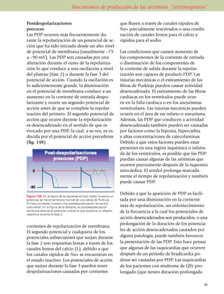Mecanismos de producción de las arritmias “arritmogénesis”

Postdespolarizaciones                                                 que fluyen a través de canales rápidos de
precoces                                                              Na+ parcial­mente reactivados o una combi­
Las PDP ocurren más frecuen­temente du­                               nación de canales lentos para el calcio y
rante la repola­ri­zación de un potencial de ac­                      rápidos para el sodio.
ción que ha sido iniciado desde un alto nivel
de potencial de membrana (usual­men­te –75                            Las condiciones que causen aumento de
a –90 mV). Las PDP son cau­sa­das por una                             los componentes de la corriente de entrada
alteración durante el curso de la repola­ri­za­                       o disminución de los compo­nentes de
ción lo que conduce a una oscilación a nivel                          la corriente de salida durante la repolar­
del plateau (fase 2) o durante la fase 3 del                          ización son capaces de producir PDP. Las
potencial de acción. Cuando la oscila­ción es                         injurias mecánicas o el esti­ra­miento de las
lo suficientemente grande, la dismi­nu­­­ción                         fibras de Purkinje pueden causar activi­dad
en el potencial de membrana condu­ce a un                             desen­ca­denada. El esti­ra­miento de las fibras
aumento en la corriente de entrada despo­                             car­día­cas en los ventrículos puede ocur­
larizante y ocurre un segundo poten­cial de                           rir en la falla cardíaca o en los aneu­ris­mas
acción antes de que se complete la repolar­                           ventri­cu­lares. Las injurias mecánicas pueden
ización del primero. El segundo po­ten­cial de                        ocurrir en el área de un infarto o aneurisma.
acción que ocurre durante la repo­la­rización                         Ade­más, las PDP que conducen a actividad
es desencadenado en el sentido de que es                              desen­ca­denada también pueden ser causadas
evocado por una PDP, la cual, a su vez, es in­                        por factores como la hipoxia, hipercarbia
ducida por el potencial de acción precedente                          y altas concen­tra­ciones de catecolaminas.
(fig. 148).                                                           Debido a que estos factores pueden estar
                                                                      presentes en una región isquémica o infar­ta­
Las PDP resultan de anormali­da­des en las                            da de los ventrículos, es posible que las PDP
                                                                      puedan causar algunas de las arritmias que
                                                                      ocurren precozmente después de la isquemia
                                                                      miocárdica. El sotalol prolonga marca­da­
                                                                      mente el tiempo de repolarización y también
                                                                      puede causar PDP.

                                                                      Debido a que la aparición de PDP es facili­
Figura 148. En la figura de la izquierda el trazo sólido muestra un
potencial de transmembrana normal de una célula de Purkinje.          ta­da por una dismi­nución en la corriente
El trazo punteado muestra una postdespolarización temprana
subumbral. En la figura de la derecha, la postdes­po­larización       neta de repolarización, un enlente­ci­miento
temprana alcanza el potencial umbral lo que ocasiona un disparo       de la fre­cuen­cia a la cual los potenciales de
repetitivo durante la fase 2.
                                                                      acción desen­cadenados son producidos, o una
                                                                      pro­lon­ga­ción de la dura­ción de los poten­cia­
corrientes de repo­la­ri­zación de membrana.
El segundo potencial y cualquiera de los                              les de acción desen­ca­denados causados por
potenciales subsecuentes que surjan durante                           al­guna patología, puede también favorecer
la fase 2 son respuestas lentas a través de los                       la presentación de las PDP. Esto hace pensar
canales lentos del calcio (L), debido a que                           que algunas de las taquicardias que ocurren
los canales rápidos de Na+ se encuentran en                           después de un período de bradicardia po­
el estado inactivo. Los potenciales de acción                         drían ser causa­das por PDP. Las taqui­cardias
que surjan durante la fase 3 pueden tener                             de los pacientes con sín­drome de QTc pro­
despo­la­ri­zaciones causadas por corrientes                          longado (que tienen duración prolongada

                                                                                                                     81
 