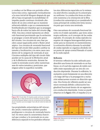 Mecanismos de producción de las arritmias “arritmogénesis”

y conduce en las fibras con perío­dos refrac­                       ios sino diferencias espaciales en la resisten­
tarios más cortos, regresando even­tual­mente                       cia axial efectiva causada por la anisotropía
a la zona inicial de bloqueo des­pués de que                        no uni­for­me. La conducción lenta en direc­
allí se haya recu­perado la exci­ta­bilidad. El                     ción transversa a la orientación de la fibra
impulso puede continuar circu­lando alre­                           (con­ducción anisotrópica) es considerada la
dedor de un área central que se mantiene                            causa principal de conducción lenta necesa­
refractaria debido a que es constan­temente                         ria para que ocurra una reentrada.
bombardeada por impulsos que se propagan
hacia ella de todos los lados del circuito (fig.                    Otro mecanismo de reentrada funcional de­
152). Esta área central repre­sen­ta un obstá­                      scrito en el tejido epicárdico, que tiene aniso­
culo funcional previ­nien­do que la excitación                      tro­pía uniforme, es el concepto de las ondas
se propa­gue a través del punto de apoyo                            espirales. El concepto de ondas espi­rales no
del circuito. Los circuitos de esta clase pu­                       requiere de ninguna heteroge­neidad perma­
eden causar taquicardia atrial o flutter atrial                     nente para su iniciación ni manteni­miento.
atípico. Los circuitos de reen­tra­da funcional                     La activa­ción eléctrica durante la acti­vi­dad
del tipo del círculo líder pue­den cambiar su                       de ondas espirales se organiza alrededor de
tamaño y locali­za­ción y en estos casos caen                       un punto de apoyo central llamado el centro
dentro de la categoría de reen­trada al azar.                       de la onda espiral.
Circuitos múltiples del tipo del círculo líder
pueden ser la causa de la fibrilación atrial                        Reflexión
y de la fibrilación ventricular, durante las                        El término reflexión ha sido utilizado para
cuales la reentrada ocurre sobre nume­rosas                         describir una forma de reentrada en un haz
asas de varios tamaños y posiciones, que                            linear, en el cual dos regiones de tejido exci­
migran sobre la superficie excitable.                               table están separadas por un área de con­
                                                                    ducción deprimida. Durante la reflexión, la
                                                                    excitación ocurre lentamente en una di­rec­ción
                                                                    a lo largo del haz y la propagación y exci­ta­
                                                                    ción subse­cuentes ocurren en dirección opu­
                                                                    esta. Una forma de reflexión puede ser una
                                                                    micro reentrada debido a disociación lon­
                                                                    gitudinal fun­cional dentro de un seg­men­to
                                                                    con conducción deprimida. Como se puede
                                                                    observar en la figura 153, el impulso (1) se

Figura 152. Círculo líder. El impulso puede continuar circulando
alrededor de un área central que se mantiene refractaria (área
central de bloqueo) debido a que es constantemente bombar­dea­
da por impulsos que se propagan hacia ella de todos los lados del
circuito.

Las propiedades anisotrópicas del miocar­
dio atrial y ventricular también pueden
predis­po­ner a circuitos de reentrada funcio­
nal. En estos casos la característica funcio­
nal que conduce a la reentrada no es una
                                                                    Figura 153. Mecanismo de reentrada tipo reflexión. Ver expli­
diferencia espacial en los períodos refractar­                      cación en el texto.



                                                                                                                                    87
 
