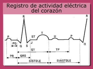Registro de actividad eléctrica del corazón 