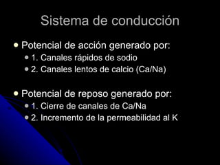 Sistema de conducción Potencial de acción generado por: 1. Canales rápidos de sodio 2. Canales lentos de calcio (Ca/Na) Potencial de reposo generado por: 1. Cierre de canales de Ca/Na 2. Incremento de la permeabilidad al K 
