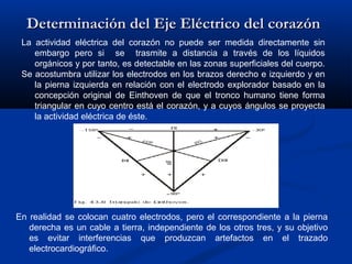 Determinación del Eje Eléctrico del corazón
 La actividad eléctrica del corazón no puede ser medida directamente sin
    embargo pero si se trasmite a distancia a través de los líquidos
    orgánicos y por tanto, es detectable en las zonas superficiales del cuerpo.
 Se acostumbra utilizar los electrodos en los brazos derecho e izquierdo y en
    la pierna izquierda en relación con el electrodo explorador basado en la
    concepción original de Einthoven de que el tronco humano tiene forma
    triangular en cuyo centro está el corazón, y a cuyos ángulos se proyecta
    la actividad eléctrica de éste.




En realidad se colocan cuatro electrodos, pero el correspondiente a la pierna
   derecha es un cable a tierra, independiente de los otros tres, y su objetivo
   es evitar interferencias que produzcan artefactos en el trazado
   electrocardiográfico.
 