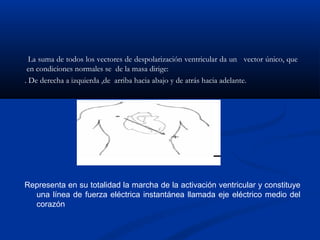 La suma de todos los vectores de despolarización ventricular da un vector único, que
 en condiciones normales se de la masa dirige:
. De derecha a izquierda ,de arriba hacia abajo y de atrás hacia adelante.




Representa en su totalidad la marcha de la activación ventricular y constituye
  una línea de fuerza eléctrica instantánea llamada eje eléctrico medio del
  corazón
 
