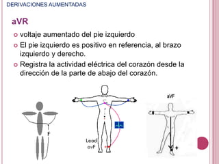 DERIVACIONES AUMENTADAS

aVR
voltaje aumentado del pie izquierdo
 El pie izquierdo es positivo en referencia, al brazo
izquierdo y derecho.
 Registra la actividad eléctrica del corazón desde la
dirección de la parte de abajo del corazón.


 